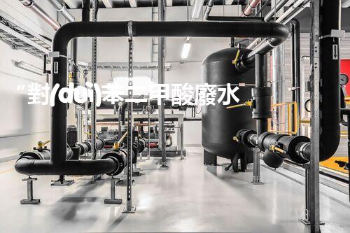 “對(duì)苯二甲酸廢水處理，綠色創(chuàng)新引領(lǐng)環(huán)保新篇章”